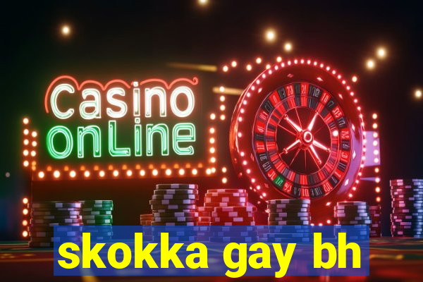 skokka gay bh